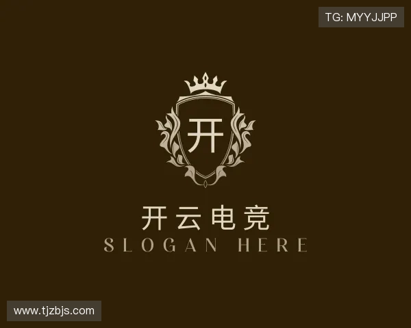 介绍开云电竞